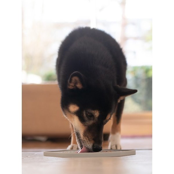 Yoomy Plate er en fin måte å aktivere hunden din på.
Fordel våtfôr på tallerkenen og la hunden din nyte en matbit som tar litt tid å spise opp.