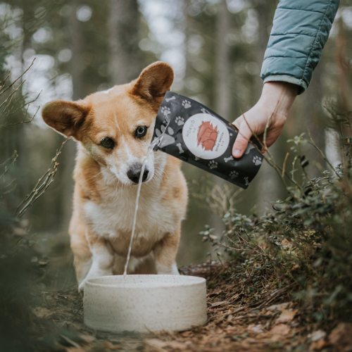 Beinkraft til hund med smak av elg. Fri for laktose og gluten.