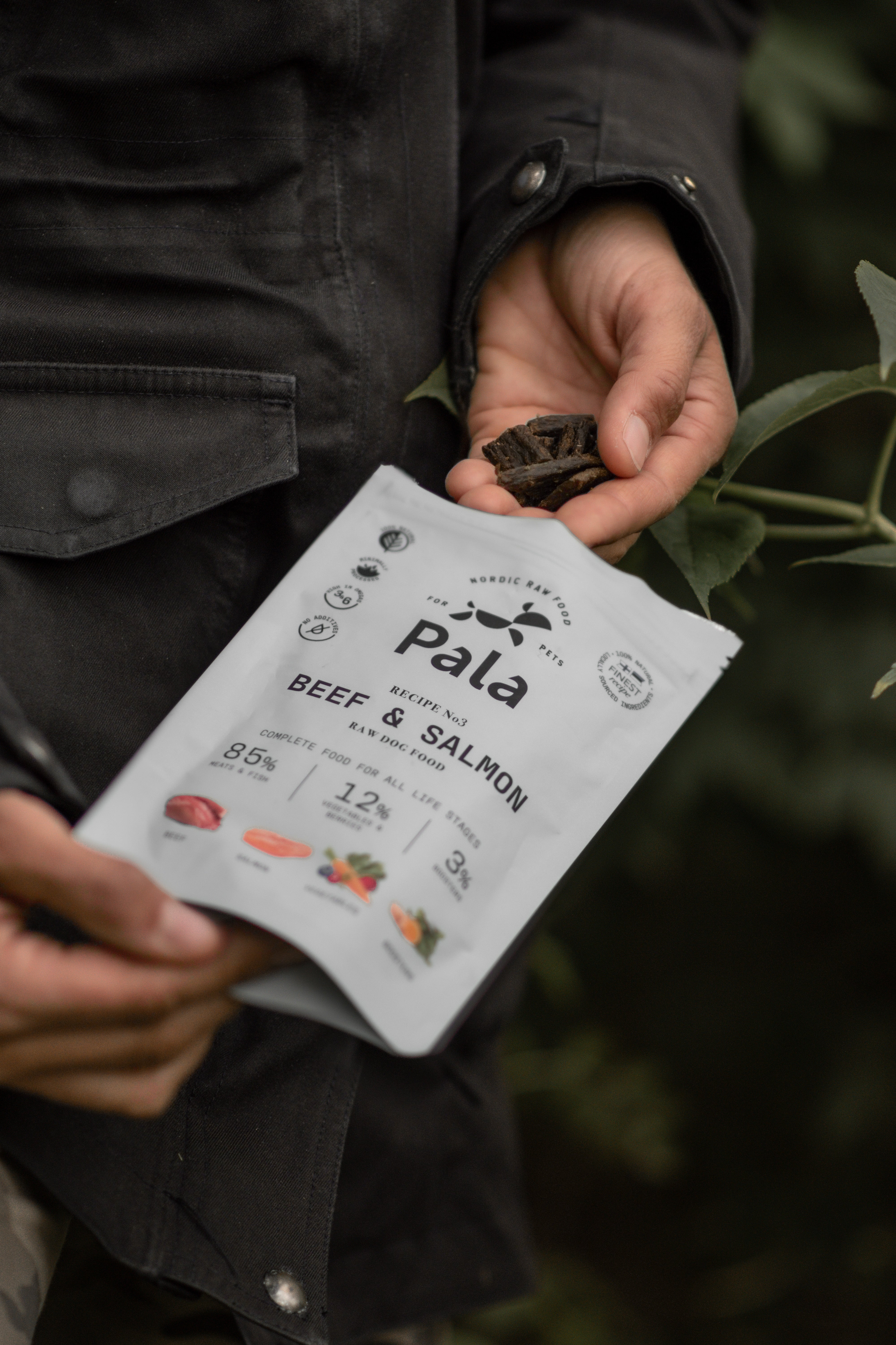 Pala Recipe 3 // Biff og laks