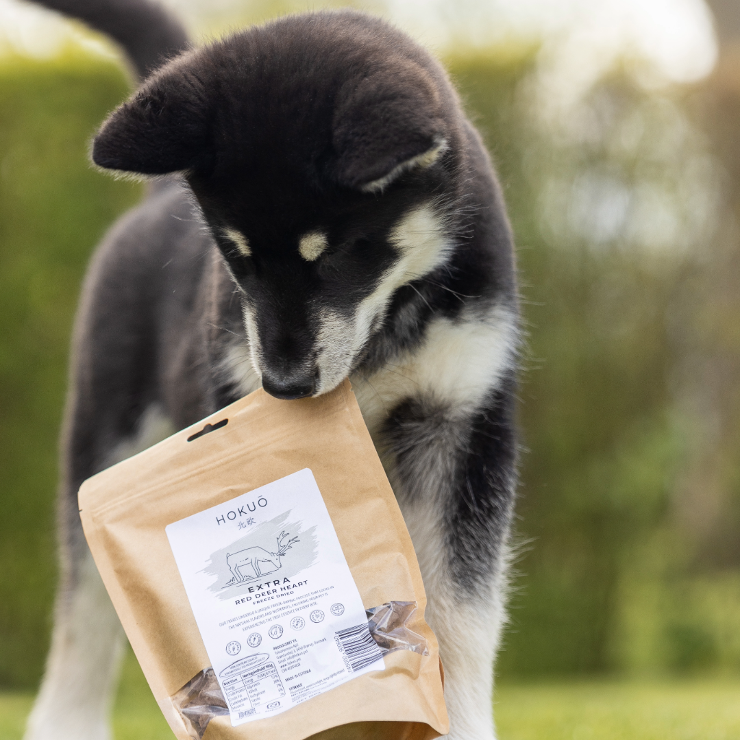 Ekstra gode og sunne godbiter til hund