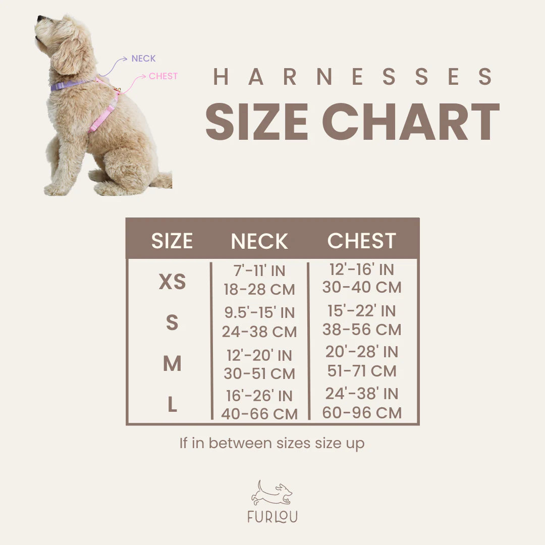 Størrelsesguide hundesele