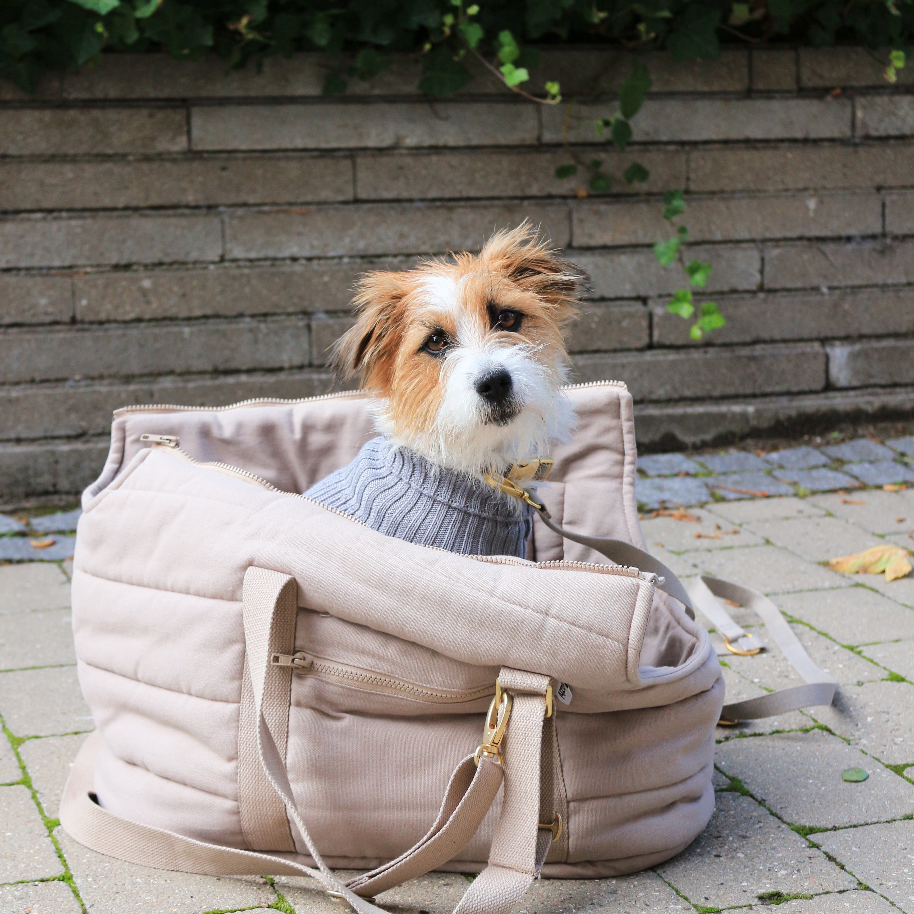 RIO hundebag