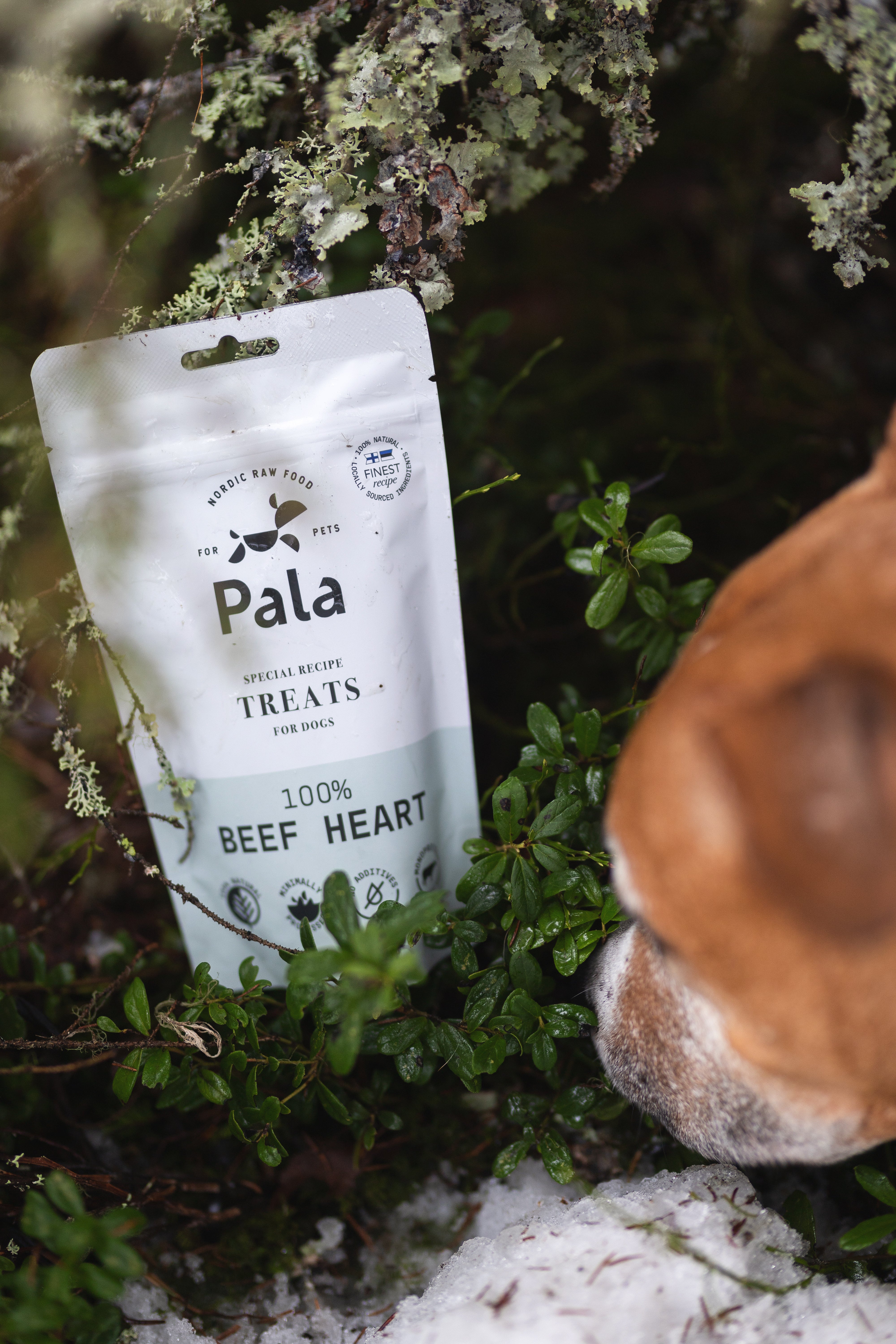 Godbiter til hund // Beef Heart // Pala