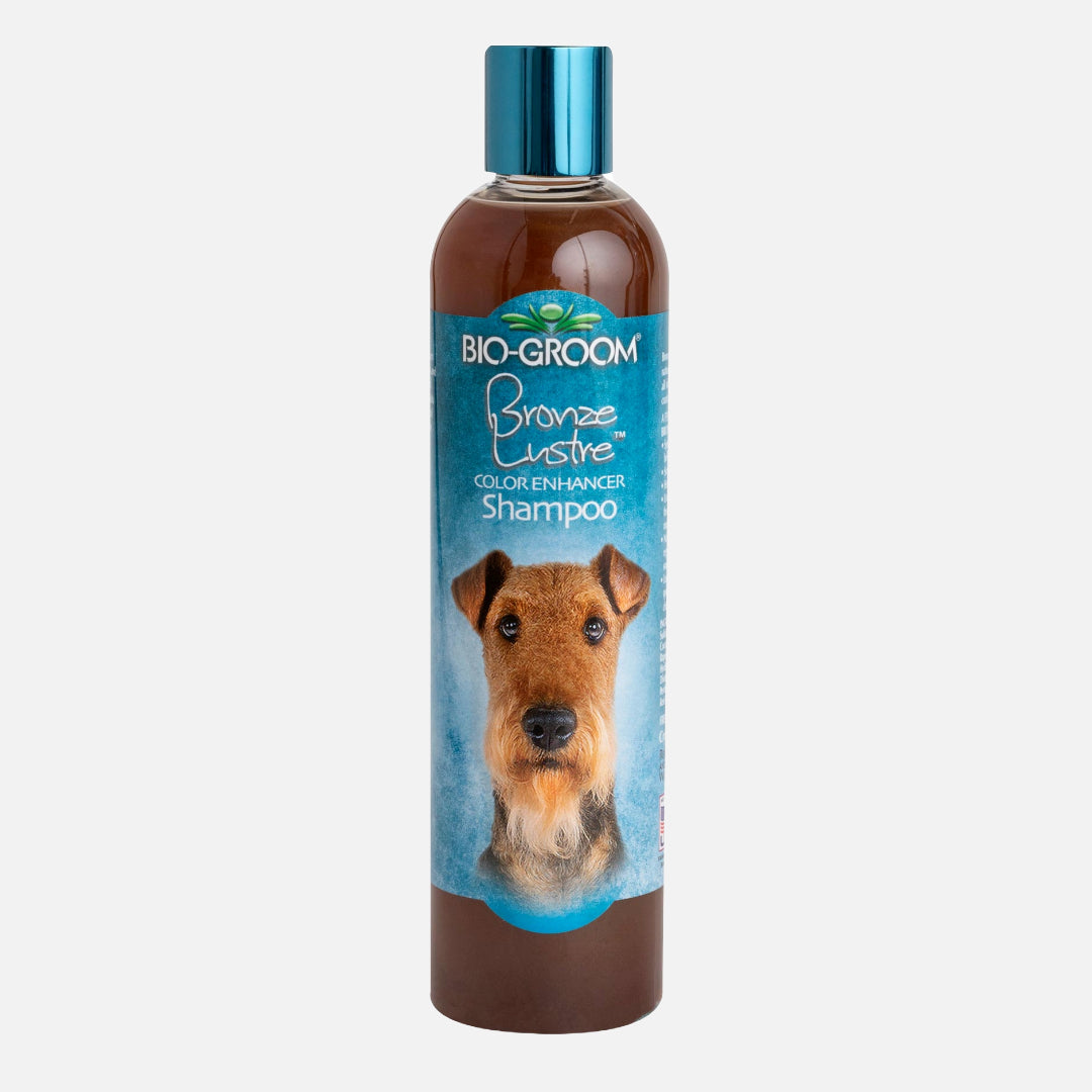 Sjampo spesielt for brune og gyldne pelser. Inneholder kokosnøttolje og og protein som fremhever den gyldne pelsen.
• Bronze Luster er en brun pelsfargeforbedrende hundesjampo
• Fremhever alle nyanser av brunfargede, røde og brune pelser
• Spesielle perleskimrende glansmidler gir glans til hundens pels
• Mild, høy kvalitet og hjelper til med å forhindre tørrhet
• Absorberbart soyaprotein styrker pelsen fra rot til tupp
• Fri for parabener og fargestoffer