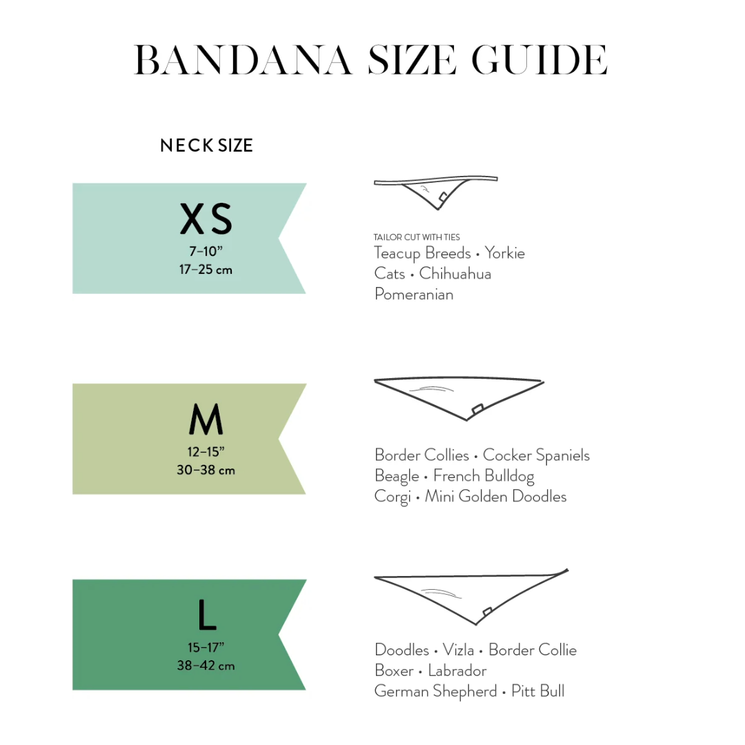 Bandana til hund // Halloween // Bitsy // the paws