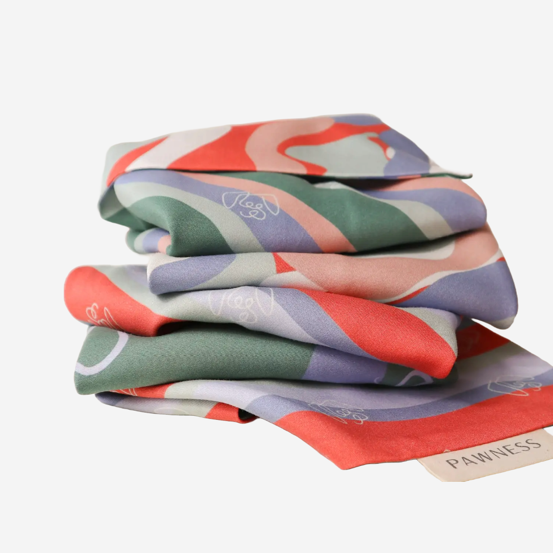 The Paw Clapper bandana