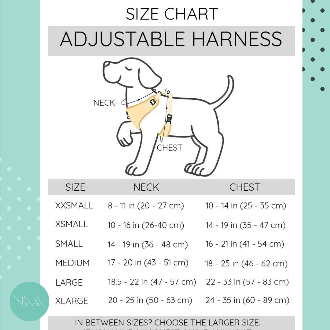 Hundesele | Blumond | Sassy Woof