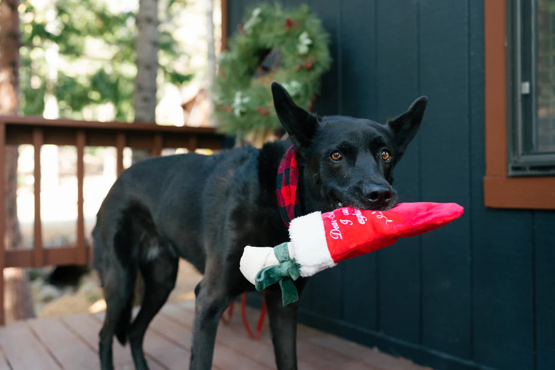 Good Dog julestrømpe // hundeleke