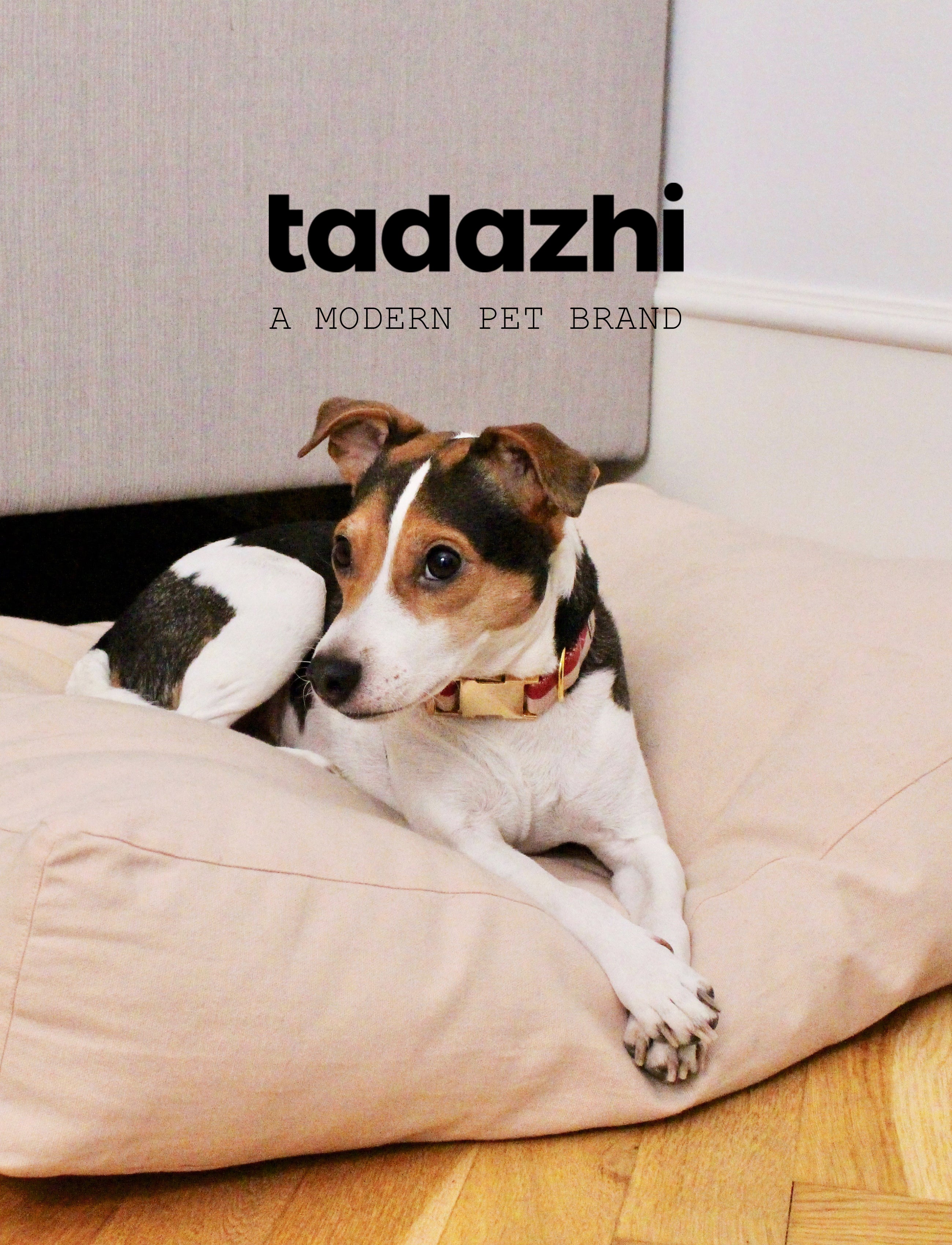 Tadazhi