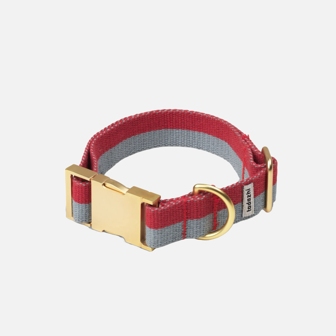 Tadazhi // Hundehalsbånd My red faded blue powder collar (rød/blå)