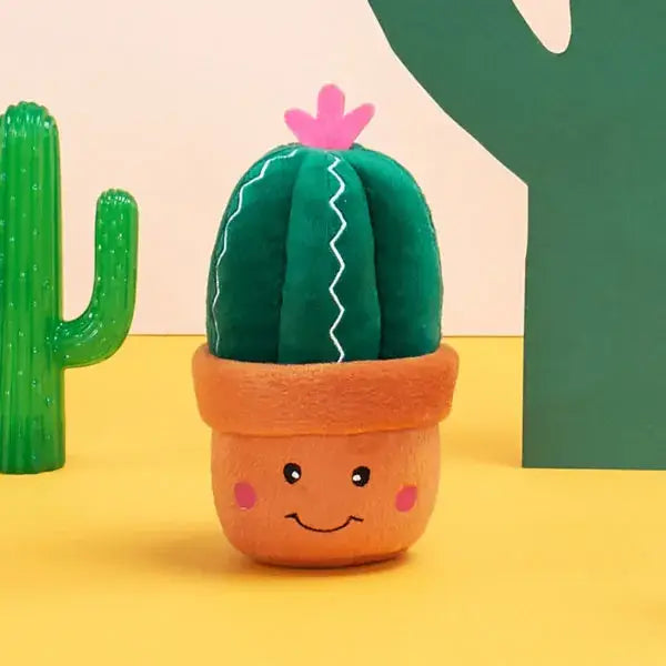 Hundeleke med pip | Stor og morsom | Carmen the Cactus