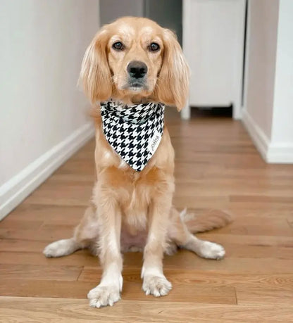 Bandana til hund // Classic Houndstooth // the paws