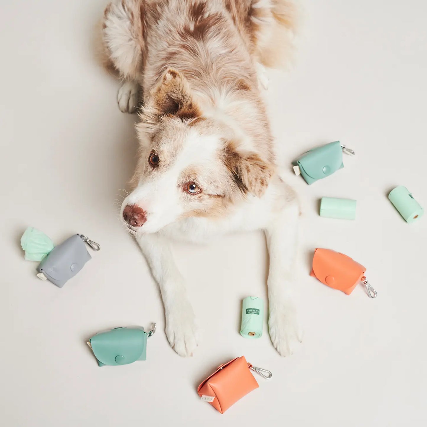 Hundeposeholder| Bo Emerald | Pawness