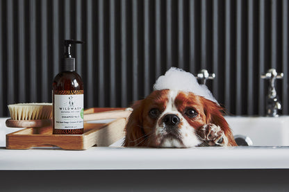 Hundeshampoo | Bidrar til sunn og skinnende pels | Wildwash