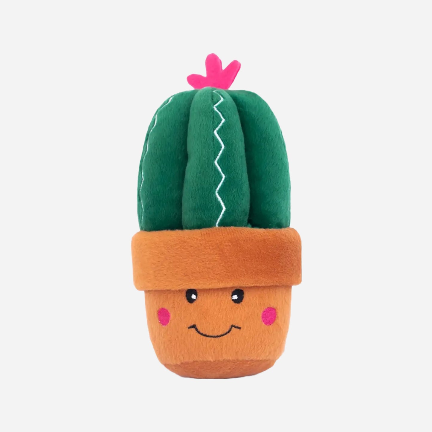 Hundeleke med pip | Stor og morsom | Carmen the Cactus