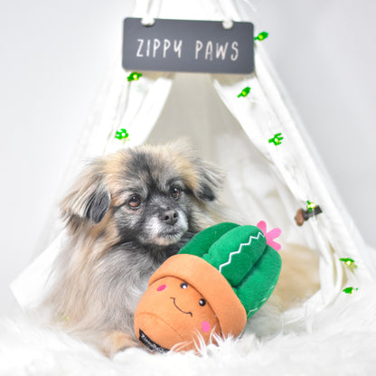 Hundeleke med pip | Stor og morsom | Carmen the Cactus