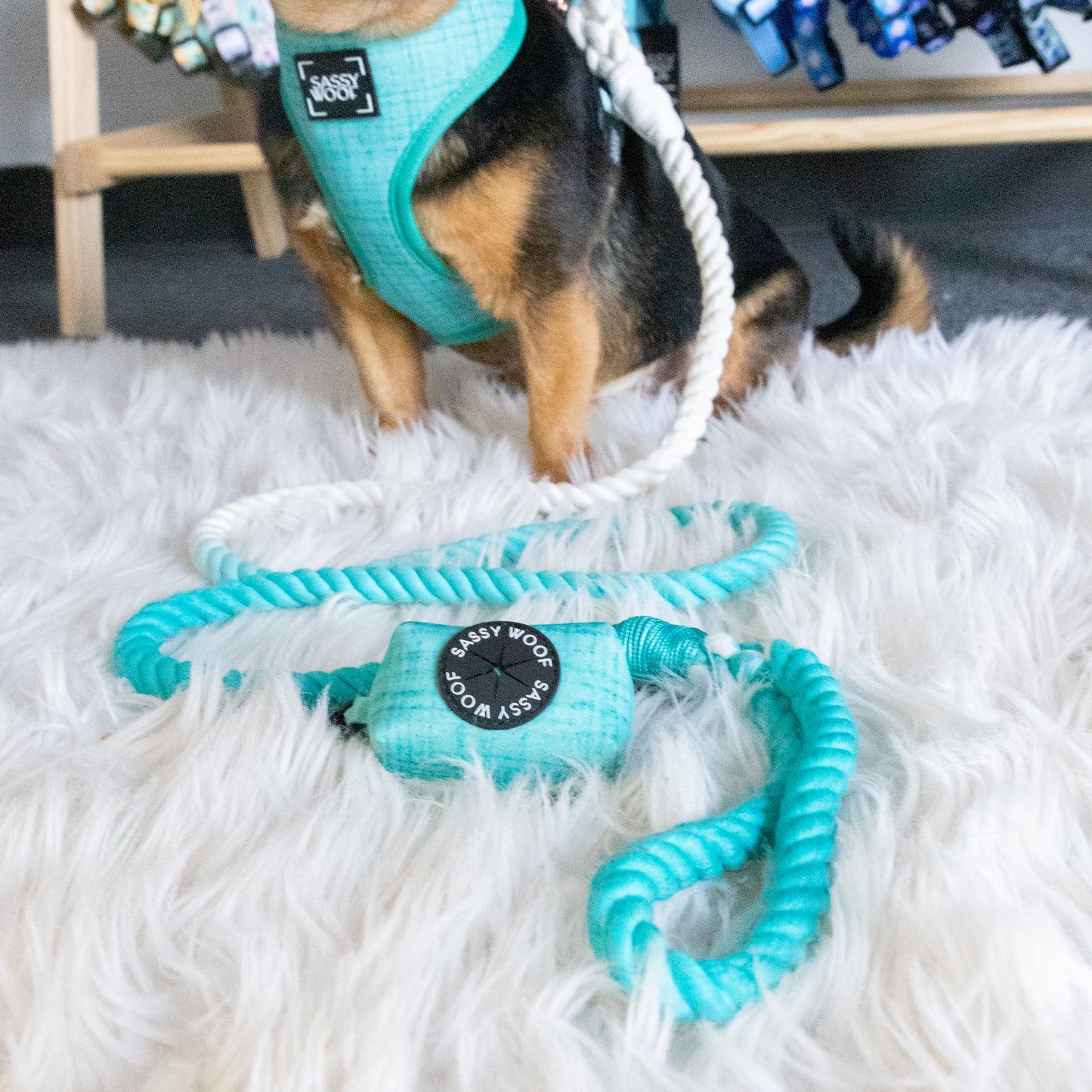 Hundeposeholder | Liten og lett | Sassy Woof
