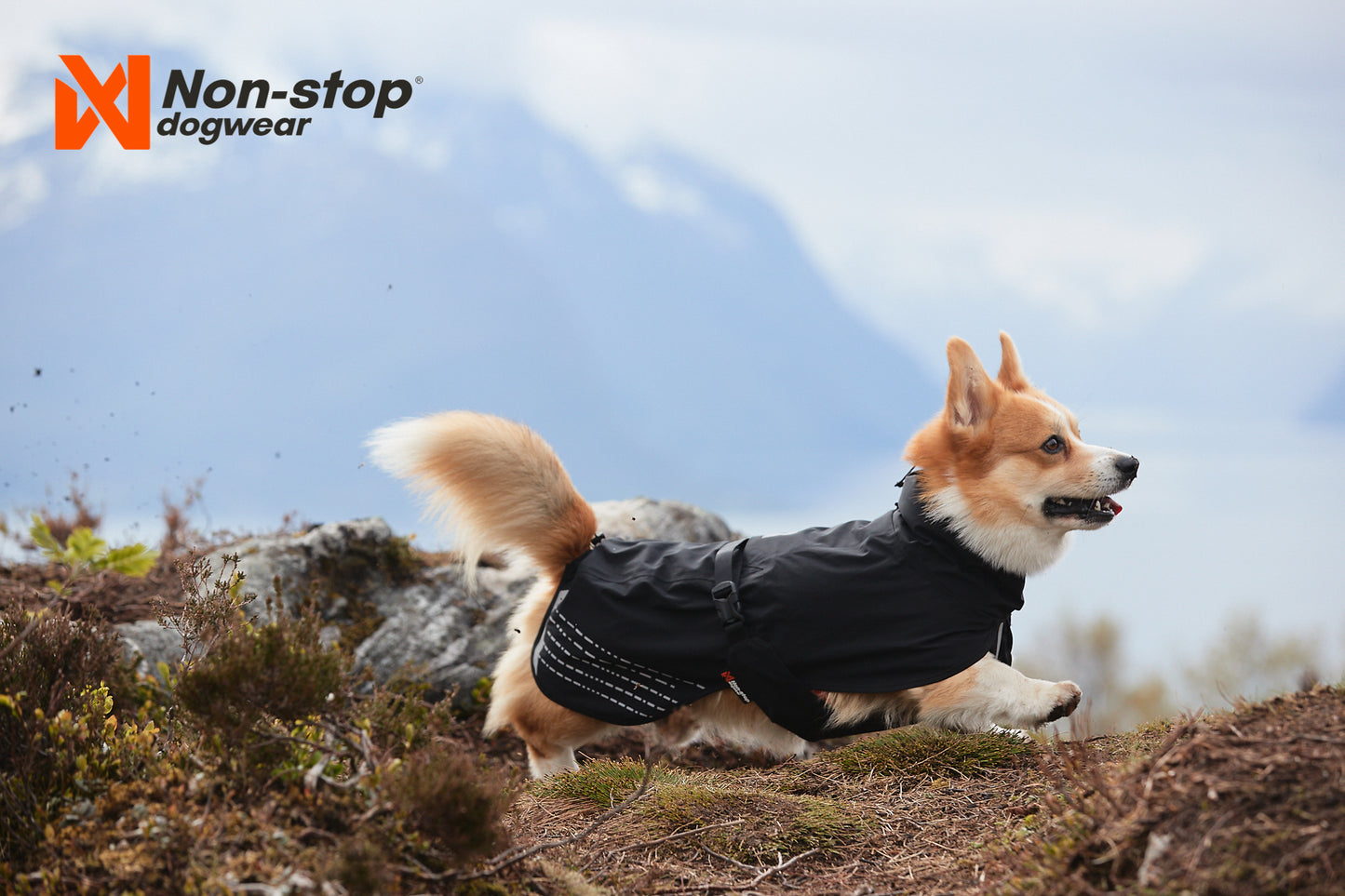 Non-stop dogwear | Fjord | Regndekken til hund | Sort