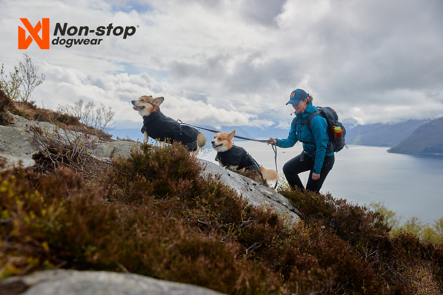Non-stop dogwear | Fjord | Regndekken til hund | Grønn