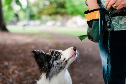 Godbitbag til trening med hund med justerbar stropp og innebygd pip