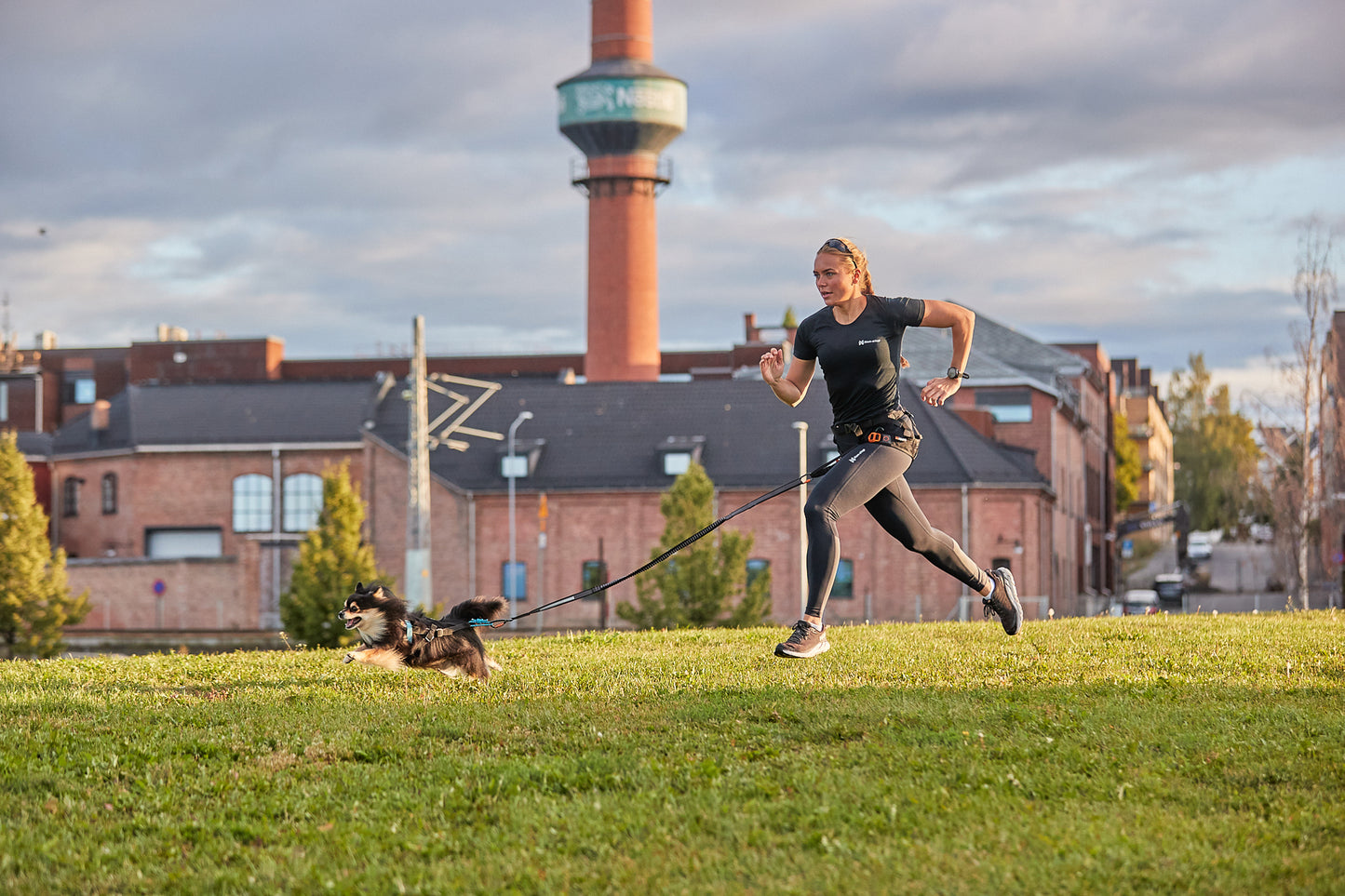 Non-stop dogwear | Touring bungee | Hundebånd | 2.8 m