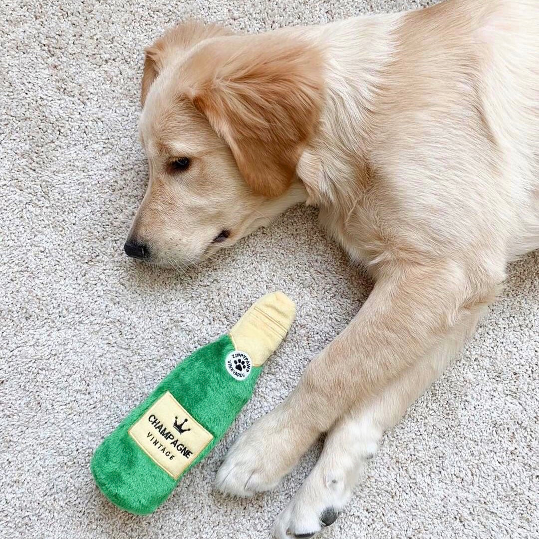 Hundeleke | Champagne| Happy Hour Crusherz